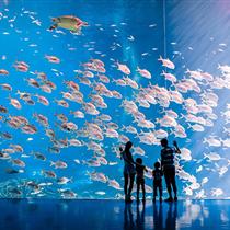 【高端定制】珠海長(zhǎng)隆海洋王國(guó)+珠海海泉灣溫泉度假村3天游(全國(guó)首創(chuàng)旅游+團(tuán)建，更省一半預(yù)算！)